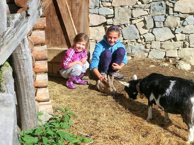 Bild 16 aus  Raffreiderhof