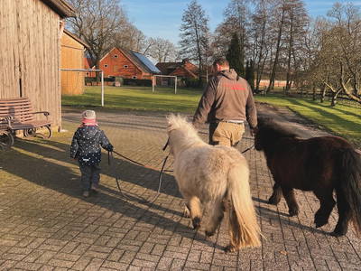 Bild 10 aus  Ferienhof Westermann