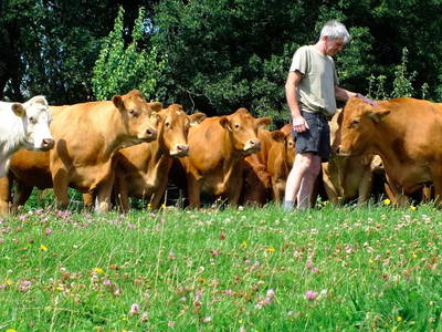 Bild 17 aus  Gripshof