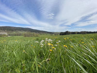 Bild 20 aus  Hanauerhof