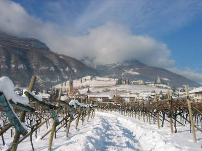 Bild 18 aus  Ferienwohnungen Grabmayrhof