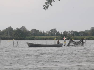 Direkt aus der Havel auf den Tisch - frischer Fisch ist durch nichts zu ersetzen