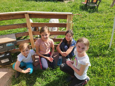 Bild 2 aus  Ferienhof Kober