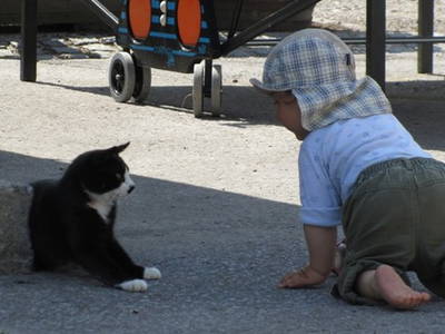 Bild 22 aus  Koglhof