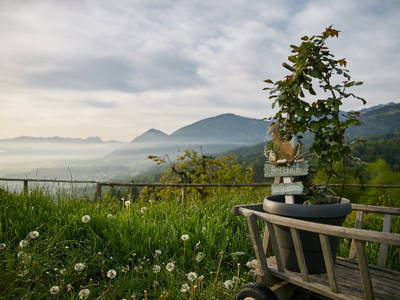 Bild 26 aus  Koglhof