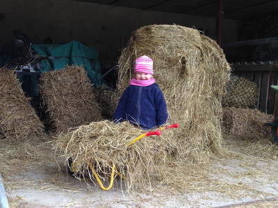 Bild 9 aus  OstseeBauernhof Schönhagen