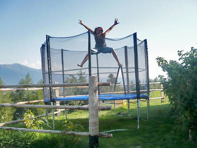 Bild 30 aus  Appartement Birkenhof - Urlaub mit Pferden und Alpakas