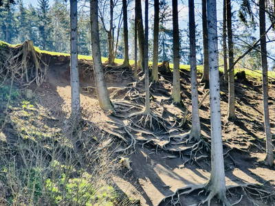 Bild 13 aus  Ferienhof & Campingplatz Schweinmühle