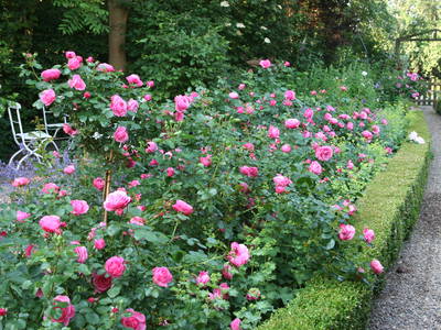 Bild 19 aus  Hof hinterm Deich