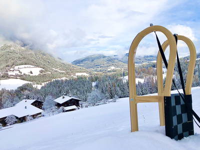 Bild 31 aus  Vordersattlegghof