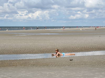 Bild 61 aus  Ferienhof Peter -  Ponys - streicheln, striegeln, füttern  -  Wattwanderungen + ganz viel Nordsee