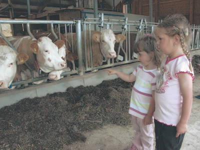 Bild 7 aus  Ferienhof Lang