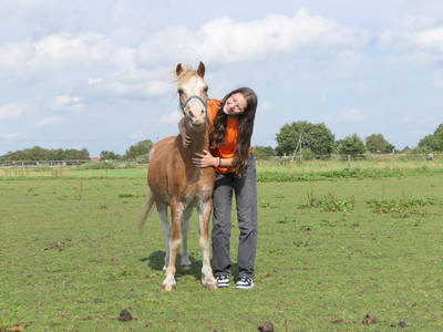 Bild 45 aus  Ponyhof Goldenstein