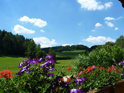 Bild 6 aus  Ferienhof Lochau