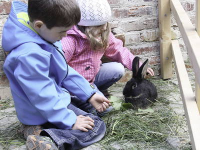 Bild 17 aus  Urlaub im Zoo – Tierpark Görlitz