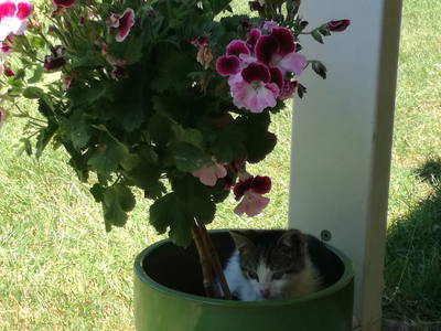 Bild 4 aus  Ferien am Talhof