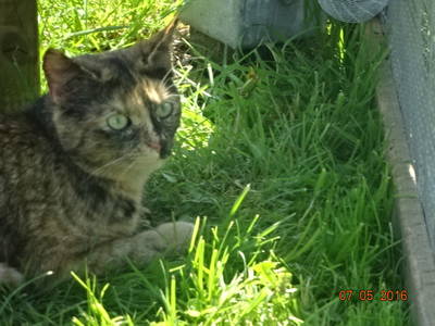 Bild 23 aus  Mayerhof