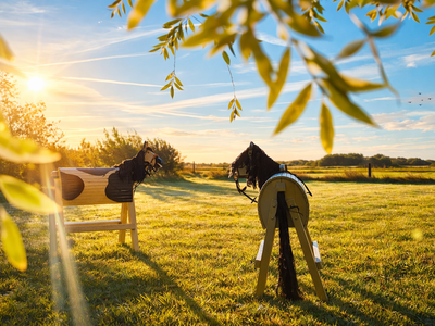 Bild 5 aus  An der See.de