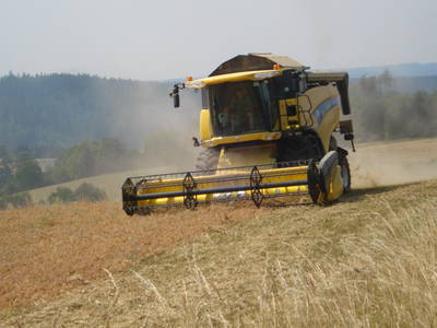 Bild 13 aus  Frankenwaldhof