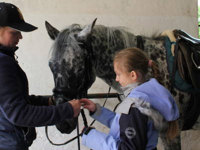 Bild 24 aus  Wohlfühlwohnung im Grünen auf Pferdehof