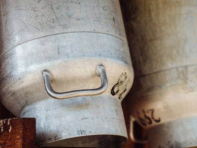 Bild 19 aus  Martenhof