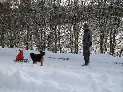 Bild 16 aus  Thelenshof