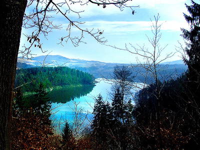 Bild 16 aus  Pokrzywnik 11