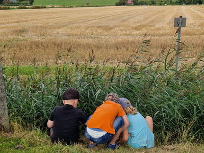 Bild 63 aus  Küstenhof Oldewurtel