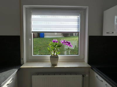 Bild 12 aus  Ferienwohnung Schneckenhaus