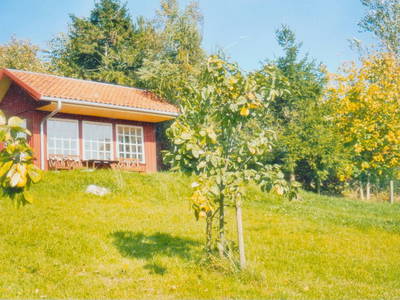 Bild 9 aus  Idyll an der Schlei