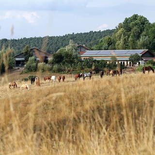 Fenwick Farm aus Erbach