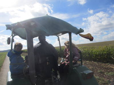 Bild 14 aus  Ferienhof Feinen