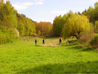 Bild 24 aus  Thomsdorf Sommerland