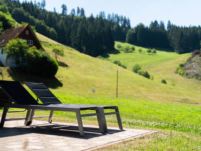 Bild 28 aus  Hanselishof