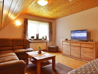 Bild 67 aus  Ferienhaus - Ferienwohnungen Müllerbauernhof im Schwarzwald.