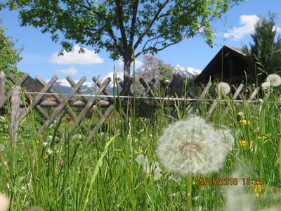 Bild 15 aus  Landhaus Alt mit  Bauernhof* Gesundes Wohnen In Freier Natur* Tolle-Angebote *Bergbahn Unlimited*