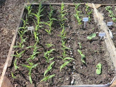 Bild 25 aus  Ferienhof Rauert