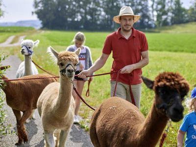 Bild 27 aus  LandSelection Staller Ferienhof