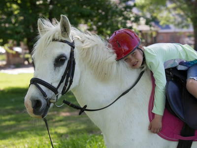 Bild 33 aus  Gut Friederikenhof