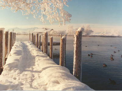 Bild 11 aus  Hofbauer - Ihr Urlaubsbauernhof am Chiemsee