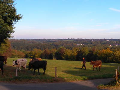 Bild 14 aus  Ferienhof Jansen