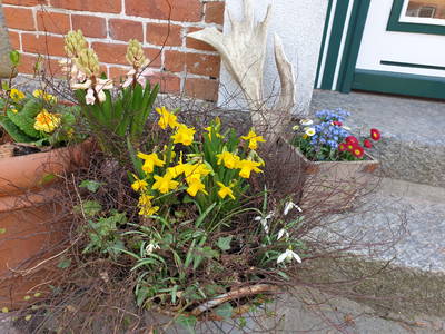 Blumen im Eingangsbereich