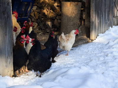 Bild 26 aus  Kebachhof