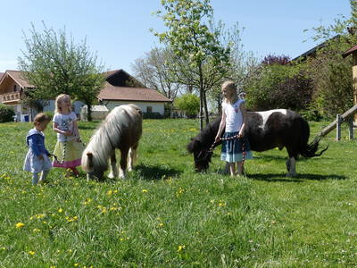 Bild 5 aus  Mojer Hof