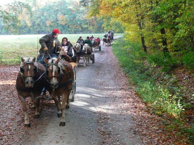 Bild 21 aus  Rhöner Haflingerhof
