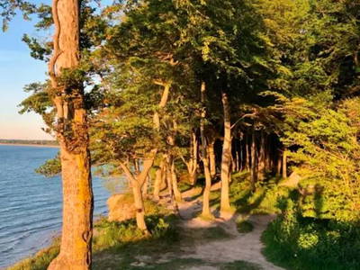 Bild 11 aus  Ostsee Baumhaushotel Schleswig-Holstein