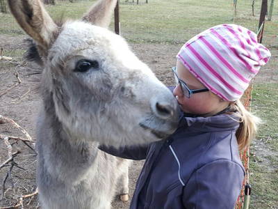 Bild 17 aus  LandSelection Drewes-Hof