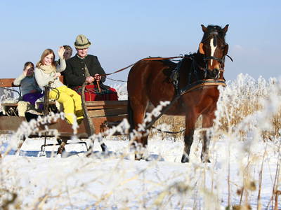 Bild 11 aus  Springerhof