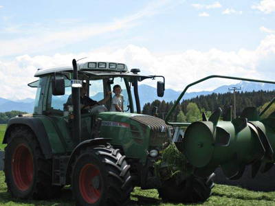 Bild 19 aus  Marksteinhof