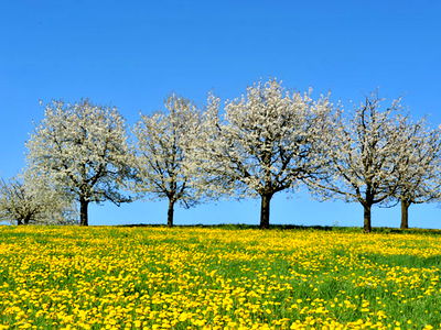 Bild 9 aus Ferienhof Sauter